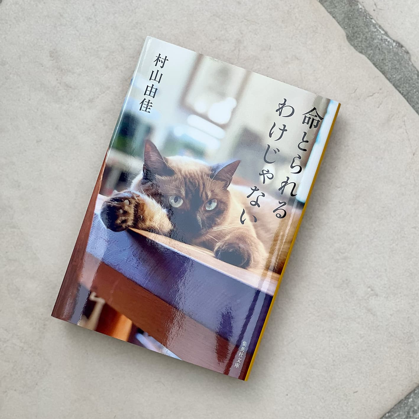 HIPHOPとラジオ　Creepy Nutsのオールナイトニッポン読本